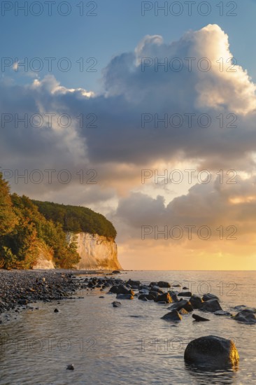 Chalk cliffs in Jasmund National Park, Sassnitz, Rügen, Mecklenburg-Western Pomerania, Germany, Sassnitz, Mecklenburg-Western Pomerania, Germany