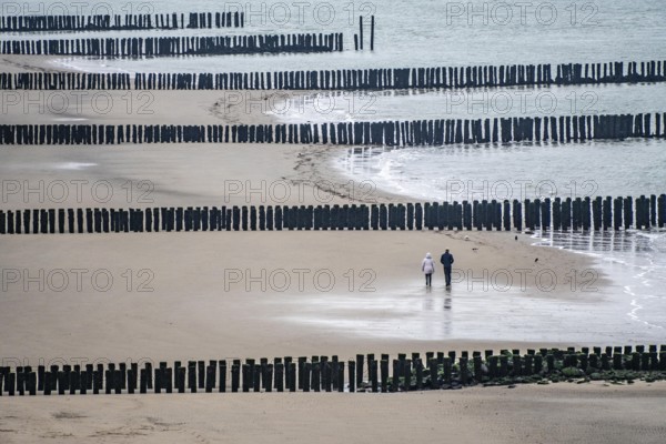 Coastal protection, through wooden posts, paalhoofden, on the beach, breakwater, the piles, some of which are rammed into the sandy soil in double rows, slow down the waves and ocean currents and thus slow down the flow rate of seawater, so less sand is washed away from the stand, near Westkapelle, Walcheren peninsula in the Dutch province of Zeeland