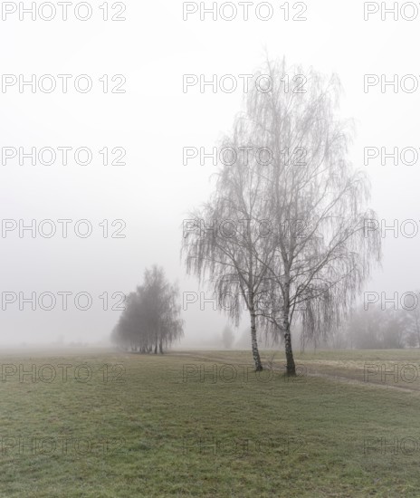 Landscape photography, fog in January, Berlin Lübars, Germany