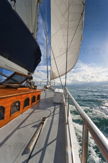 Sailing, sailing ship in the evening sun, backlight, sky, beautiful weather, atmosphere, journey, holiday, sea, dream holiday, dream trip