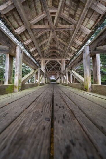 Detailed interior view of a bridge with symmetrical wooden elements, Kälberbrücke, Enzklösterle, district of Calw, Black Forest, Germany