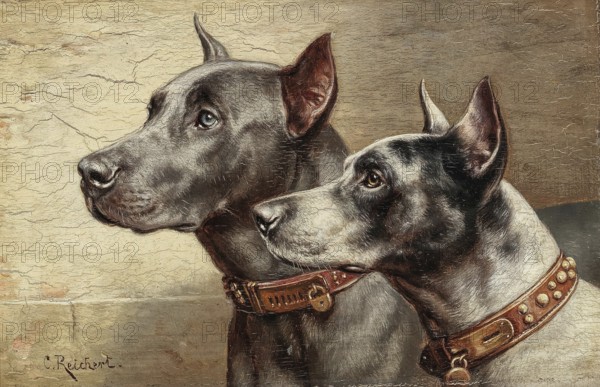 Carl Reichert, Karl Reichert, pseudonym J. Hartung (born 27 August 1836 in Vienna, died 5 April 1918 in Graz) . Austrian painter, especially landscape painter and animal painter. Here his work:, Two Friends, two Great Danes, Painting, Reproduction of the painting, Work of art, Historical