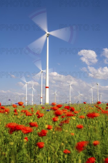 Wind farm, field with flower strips, insect-friendly border of fields with mixed flowers, poppies, north of Marsberg, Hochsauerlandkreis, North Rhine-Westphalia, Germany