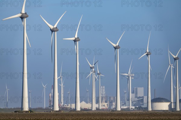 Westereems and Growind wind farms, in the north of the Netherlands, near Eemshaven, energy center, in addition to wind energy, there are coal and gas power plants and various energy infrastructure facilities, the Netherlands