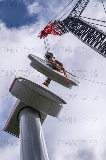 Erection of a wind turbine, wind energy plant, assembly of the ring generator, with a crawler lattice crane, wind farm near Hagen, North Rhine-Westphalia, Germany