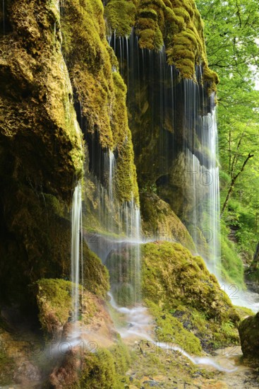 The Schleier Falls on the Ammer, moss-covered waterfall, Ammergau Alps, Bavaria, Germany