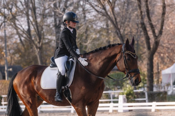 A rider in formal attire on a horse during a dressage event The scene captures the precision, elegance, and partnership central to classical equestrian practices