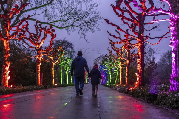 Park lights, events in winter, in the Grugapark in Essen, many different light installations, across the park, attract many thousands of visitors, North Rhine-Westphalia, Germany