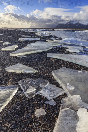 Ice floes on the beach, snowy, waves, sea, cloudy mood, winter, Lonsvik, Höfn, Iceland