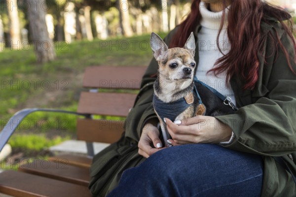 A woman with long hair holds a small chihuahua on her lap while sitting on a wooden bench. The scene is set in a green park with trees and grass in the background