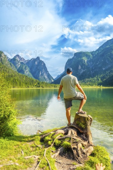 Tourist standing on a tree stump, admiring the stunning landscape of lake dobbiaco and the surrounding dolomites mountains in summer
