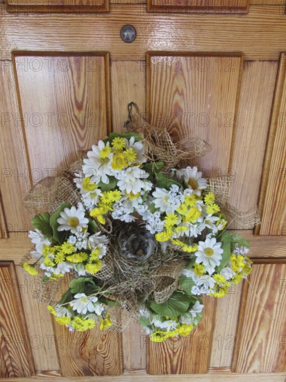 Black Redstart (Phoenicurus ochruros) nest in floral wreath at front door, Brandenburg, Germany