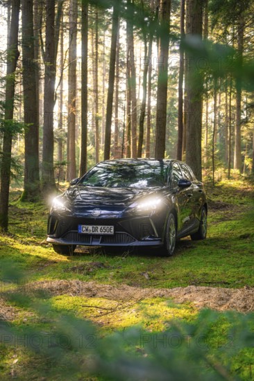 Black car in a mystical forest, illuminated by sunbeams, Deer E- Carsharing vehicle MG4, district of Calw, Germany