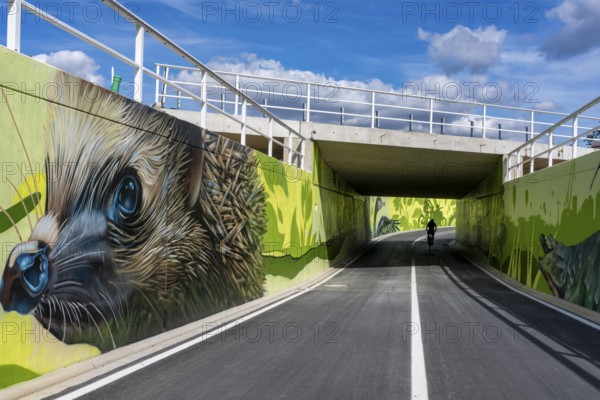 New bicycle tunnel at the junction of the B51 and Warendorfer Straße, in Münster, a bicycle and pedestrian tunnel, 150 metres long, 5.50 metres wide, crosses under the busy roads so that cyclists and pedestrians can pass without crossing, route to and from Münster city centre, visually designed with local motifs as murals, by Lackaffen.de, modern bicycle infrastructure, North Rhine-Westphalia, Germany