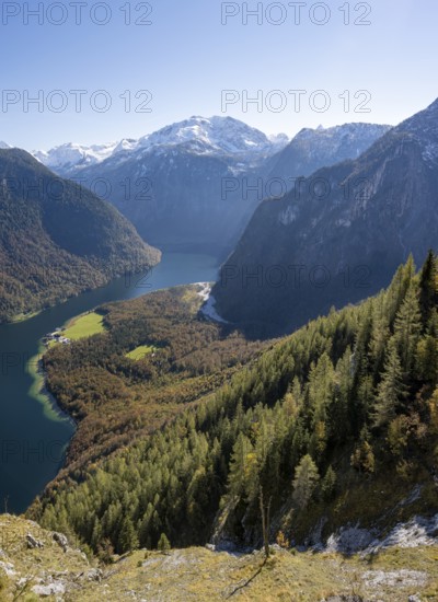 View of the Königssee from the Rinnkendlsteig mountain hiking trail, autumnal forest and snow-covered mountains, Berchtesgaden National Park, Berchtesgadener Land, Upper Bavaria, Bavaria, Germany