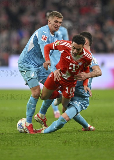 Tackle, action Jamal Musiala FC Bayern Munich FCB (10) against Albian Hajdari TSG 1899 Hoffenheim (21) Grischa Proemel TSG 1899 Hoffenheim (06) Soccer Bundesliga, Allianz Arena, Munich, Bavaria, Germany
