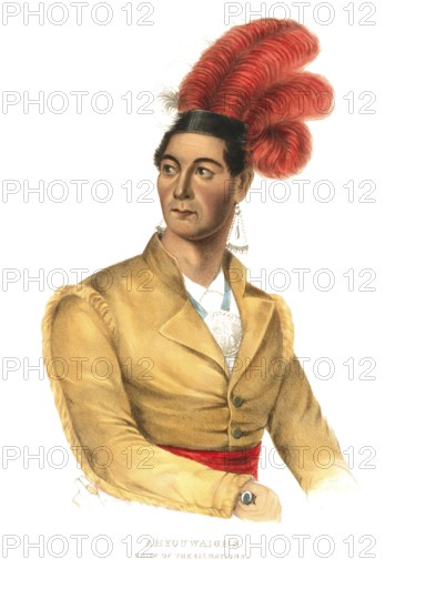 American Indian, Native American, Thayendanegea, Chief of the Mohawk and Head of the Iroquois Confederacy, Chied of the Six Nations, United States of America, USA, Painting by Charles Bird King (1785, 1862), c. 1840, Historic, digitally restored reproduction from a 19th century original, Record date not stated