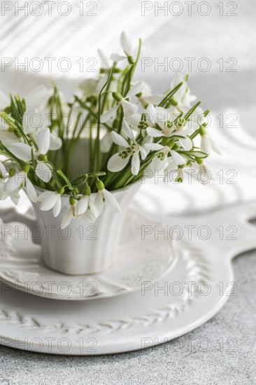 White snowdrops in a classical white teacup on a carved plate, offering a fresh and comforting hint of spring subtly infused into home decor