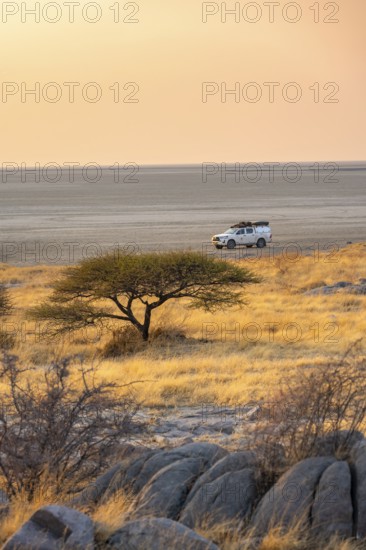 Off-road vehicle on a salt pan, at sunrise, acacia and rocks, Kubu Island (Lekubu), Sowa Pan, Makgadikgadi salt pans, Botswana