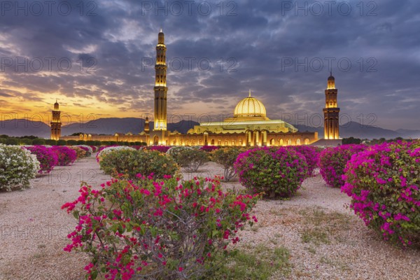 Countryside, Oman, Mosque, blue hour, Illuminated, Building, Architecture, Sultan Qabus Grand Mosque, Muscat Muscat, Muscat, Oman