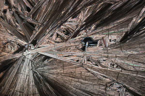 Intricate detail and radiant colors of Hippuric acid crystals magnified under a microscope. The crystals display a range of metallic hues including silver, copper, and hints of rainbow reflections