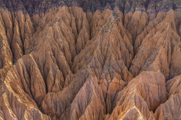 Aerial view showcasing a striking example of gully erosion, with deep, rugged valleys and ridges shaped by natural forces. The landscape highlights the power of erosion