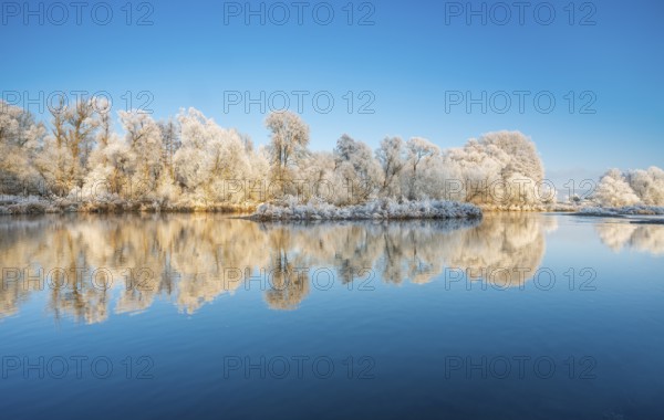 Trees with hoarfrost on the river Eder in winter, reflection in water, near Bad Wildungen, Hesse, Germany