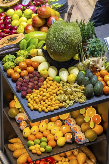 Exotic fruits, lychee, jackfruit, dragon fruit, mango and citrus fruits presented on a table, Germany