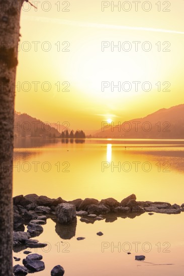 Sunset over a quiet lake with reflections and surrounding mountains, Großer Alpsee, Immenstadt im Allgäu, Bavaria, Germany