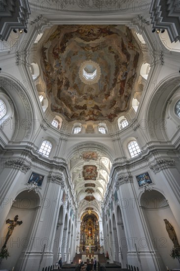 Vaulted ceiling and centre aisle with frescoes, Neumünster, collegiate church, Würzburg, Lower Franconia, Bavaria, Germany