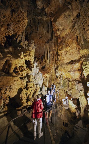 Cave with illuminated stalactites and stalagmites, stalactite cave, Diros Cave, Glyfada Cave, Vlychada Cave, Mani, Laconia, Peloponnese, Greece