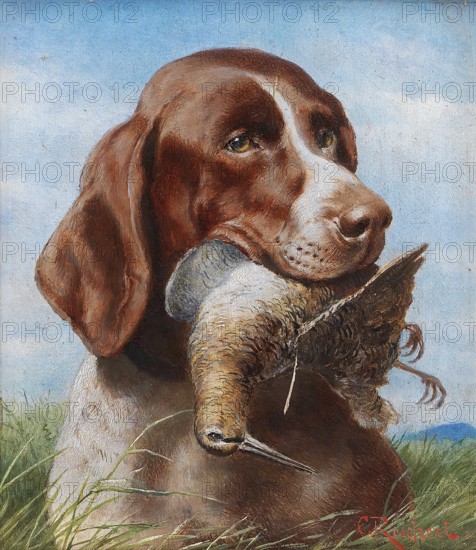 Carl Reichert, Karl Reichert, pseudonym J. Hartung (born 27 August 1836 in Vienna, died 5 April 1918 in Graz) . Austrian painter, especially landscape painter and animal painter. Here his work:, Gundog With Snipe, Pointing Dog with Snipe, Painting, Reproduction of the painting, Work of art, Historical