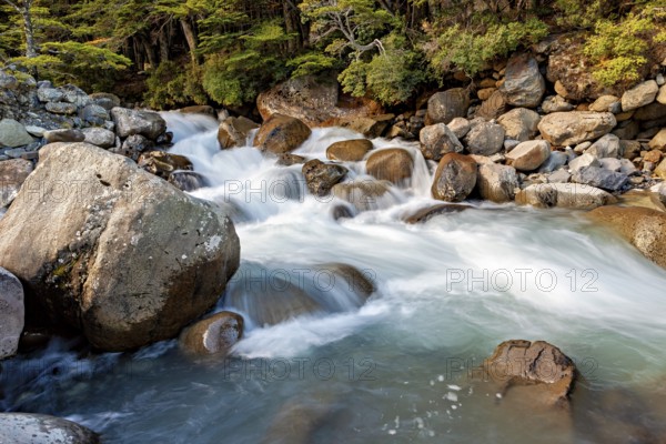 A small waterfall flows rapidly over large rocks in a forested area, mountain stream and white water in Torres del Paine National Park in Patagonia Chile