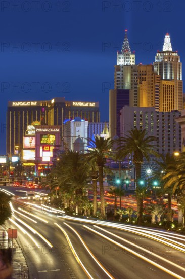 Nighttime urban scene in Las Vegas with brightly lit buildings, New York-New York Hotel and Casino, Mandalay Bay Resort and Casino, palm trees and the street, Strip, Las Vegas, Nevada, USA