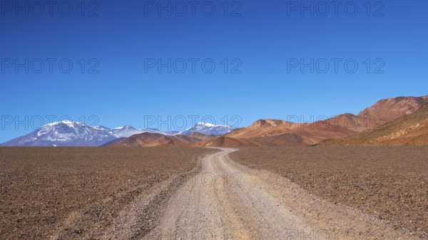 A captivating shot of a winding dirt road stretching through the stark, arid desert landscape of La Puna in Argentina, framed by rugged mountains and clear blue skies