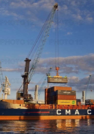 Container ship loading in Steinwerder Harbour at the South-West Terminal, Norderelbe, Hamburg, Germany