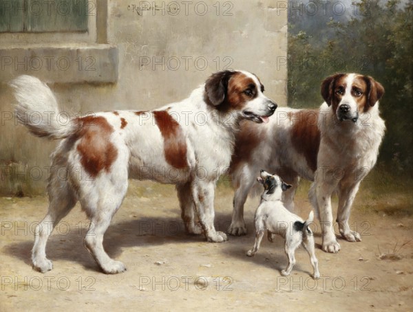 Carl Reichert, Karl Reichert, pseudonym J. Hartung (born 27 August 1836 in Vienna, died 5 April 1918 in Graz) . Austrian painter, especially landscape painter and animal painter. Here his work:, Three dogs (1906), two large dogs resembling St. Bernards, together with a small dog, Painting, Reproduction of the painting, Work of art, Historical