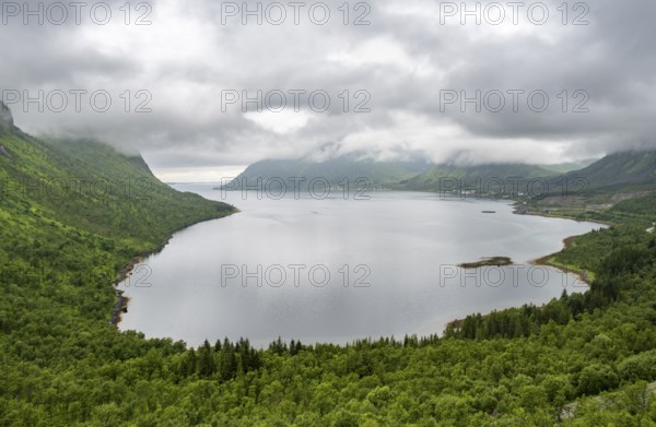 Cloudy fjord landscape with forest, Senja Island, Norway