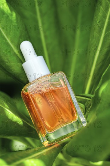 Dropper bottle of Vitamin C serum poised amidst vibrant green foliage, highlighting natural skincare