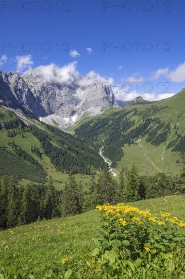 Grubenkarspitze, seen from Drijaggenalm, Tyrol, Austria