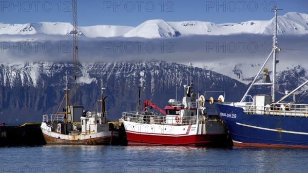 Iceland, Europe, Husavik Port, Husavik