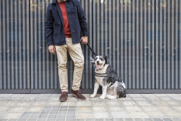 A cropped unrecognizable stylish man stands with his dog against a modern city backdrop, showcasing a casual yet fashionable outfit. Both the man and the dog appear relaxed and happy in an urban environment