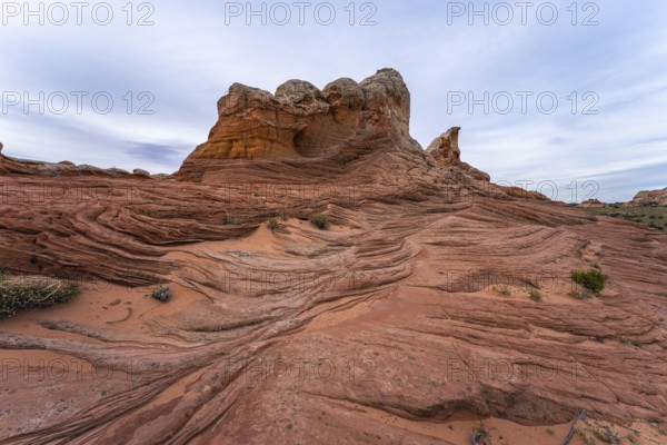 Striking red sandstone formations with intricate patterns in White Pocket, Arizona, epitomize the rugged beauty of the American Southwest