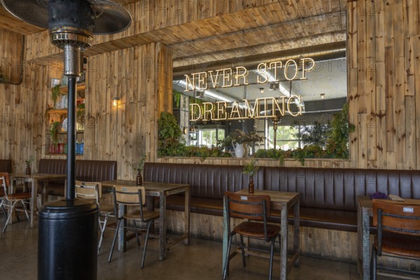 Warm, rustic cafe interior featuring wooden walls, vintage furniture, green plants, and a large mirror with a glowing neon sign that reads Never Stop Dreaming, creating an inspiring atmosphere