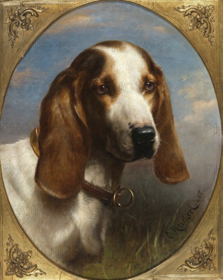 Carl Reichert, Karl Reichert, pseudonym J. Hartung (born 27 August 1836 in Vienna, died 5 April 1918 in Graz) . Austrian painter, especially landscape painter and animal painter. Here his work:, A Hunting Dog (1885), Hunting dog, Painting, Reproduction of the painting, Work of art, Historical