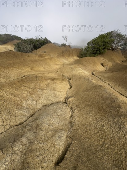Yellow soil and rocks, erosion, near Arguamul, La Gomera, Canary Islands, Spain