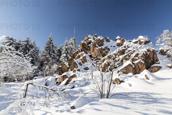 Kleiner Lugstein, sunny winter landscape with snow-covered trees, bushes, trails and branches covered with hoarfrost on the Ore Mountains Ridge, Zinnwald-Georgenfeld, Altenberg, Eastern Ore Mountains, Saxony, Germany