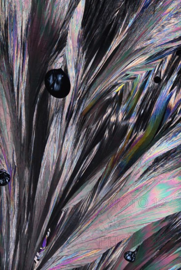 Intricate structure of Hippuric acid crystals magnified under a microscope, presenting a breathtaking array of colors including blues, pinks, greens, and blacks