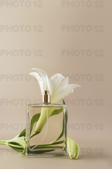 A minimalist perfume bottle elegantly paired with a white lily flower against a neutral background, highlighting sophistication and freshness in floral fragrance design