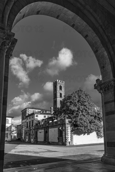 View of Piazza San Martino, historic city centre, black and white photograph, Lucca, Tuscany, Italy